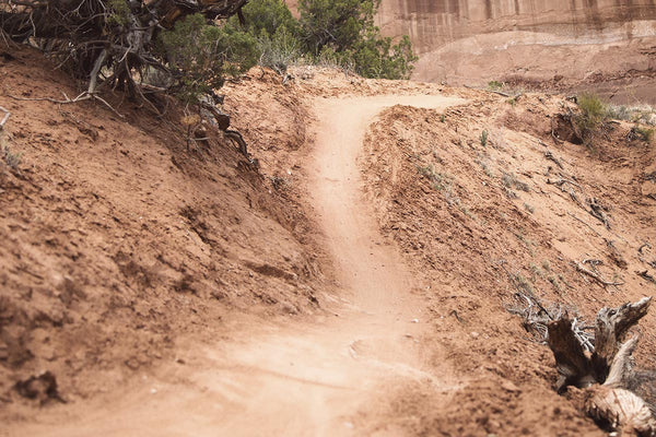 What a Day on a Trail Can Teach Our Kids