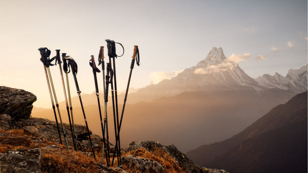 Are Trekking Poles Worth It?