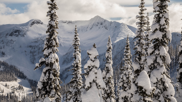 Whitewater Ski Resort: A Remote, Laid-back Resort with Deep Pow