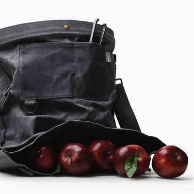 apples and gathering bag