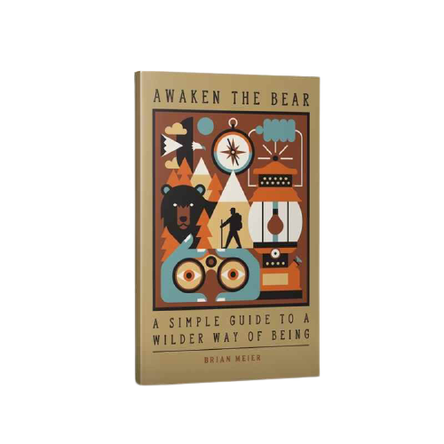 awaken the bear book cover