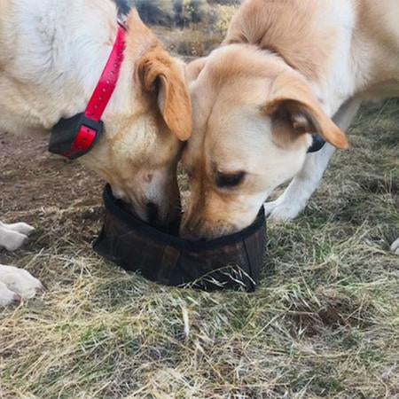 dogs drinking from waxed cotton bowl