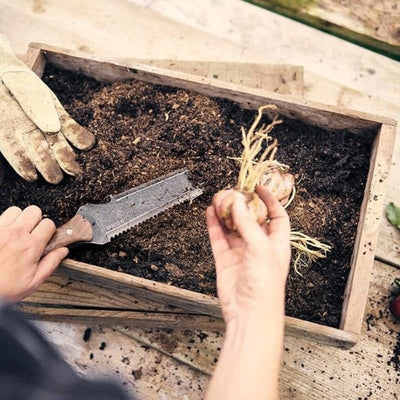 gardening with hori hori digging tool