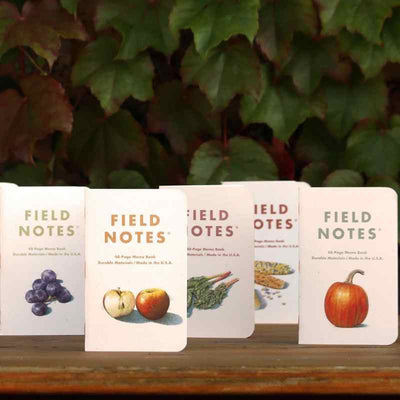 lined up Field Notes Harvest Edition memo books