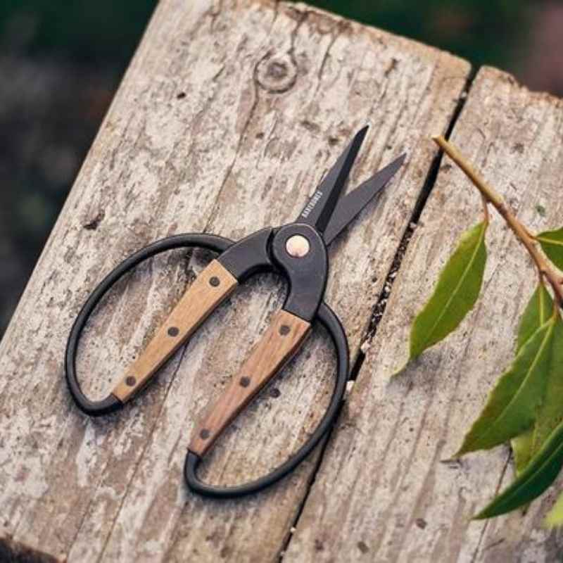 small foraging and garden scissors on wooden table