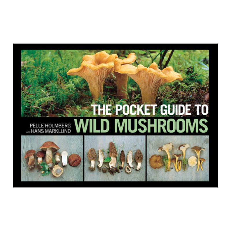 the pocket guide to wild mushrooms